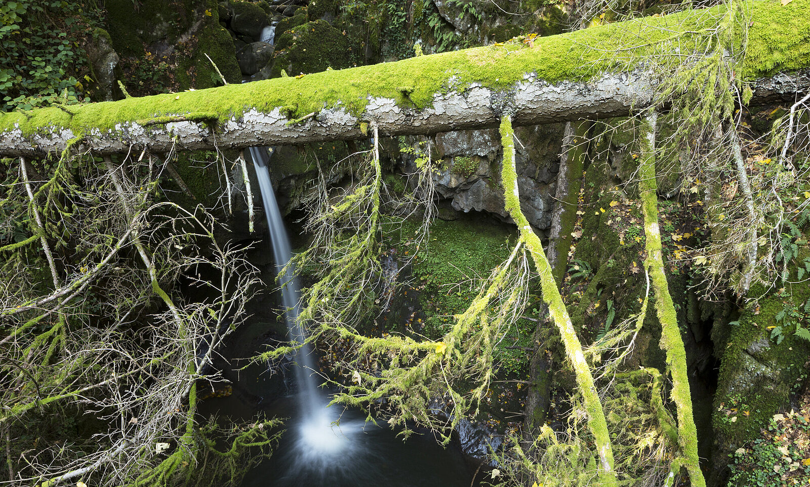 Teufelskessel mit dem Haselbachwasserfall bei Indlekofen im Südschwarzwald