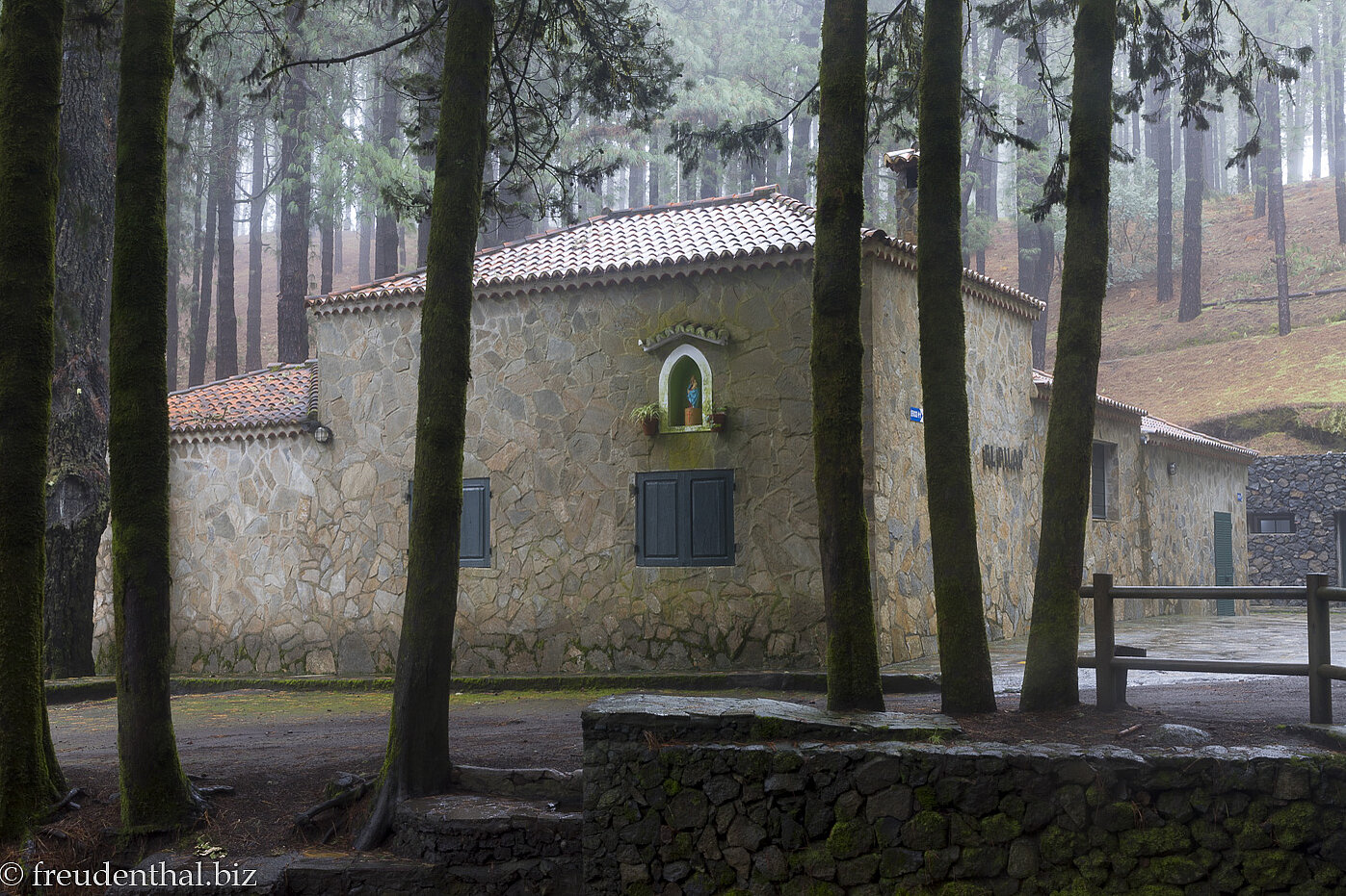 Das Refugio El Pilar im märchenhaften Nebelwald