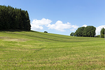 Hochplateau in der Gemeinde Dachsberg