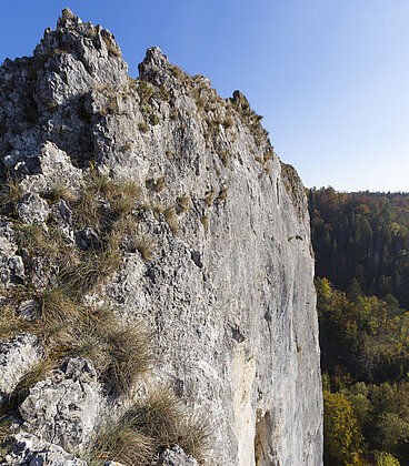 Wanderung im Donaufelsengarten