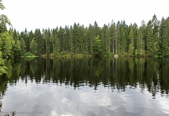 Blick über das dunkle Wasser des Mathisleweihers bei Hinterzarten im Schwarzwald