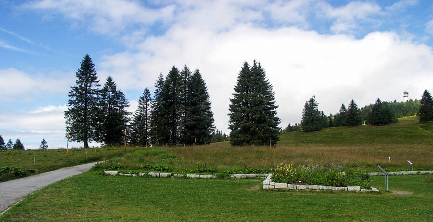 Wanderung auf den Seebuck