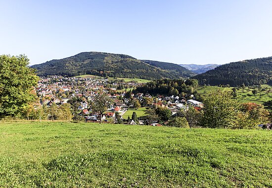 Aussicht über grüne Wiesen auf Haslach im Kinzigtal