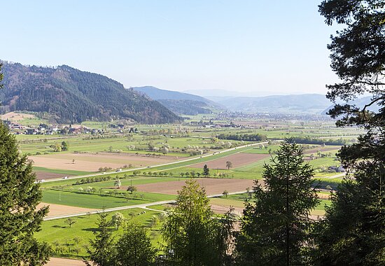 Aussicht vom Räuber Hotzenplotz Pfad bei Gengenbach über das Kinzigtal