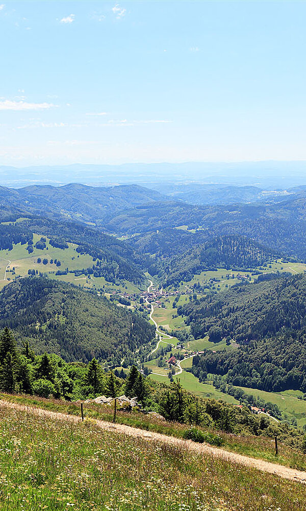 Aussicht über das Wiesental