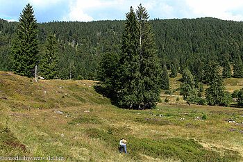 Blick über das Moor der Menzenschwander Klause