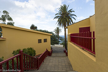 Bunte Häuser und Dattelpalmen - San Andrés