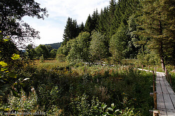 Steg über das Giersbacher Moor