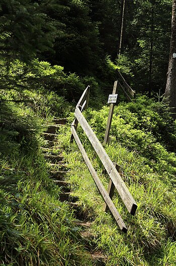 Teufelskanzelweg unterhalb der Lettstädter Höhe im Sommer