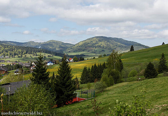 Aussicht über die Wiesen der Krunkelbachalm nahe dem Kleinen Spießhorn