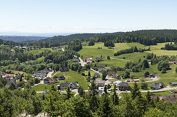 Alpenpanorama bei Wittenschwand