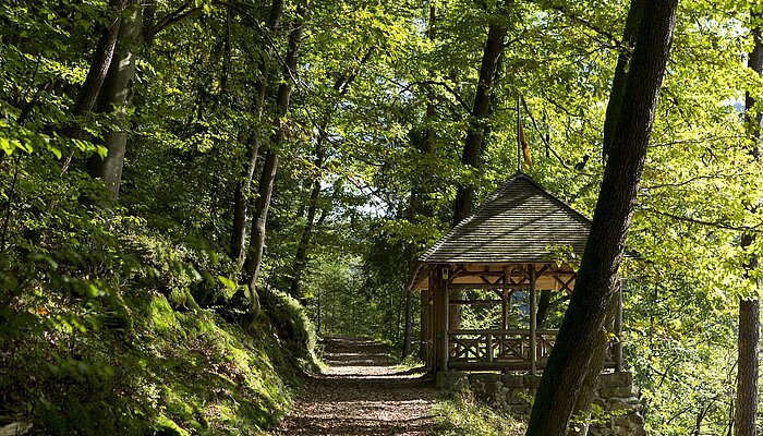 Wanderung auf dem Peterstaler Schwarzwaldsteig