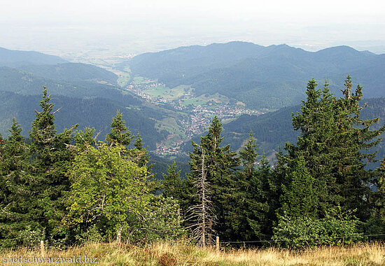 Aussicht vom Belchen in das tief eingeschnittene Münstertal