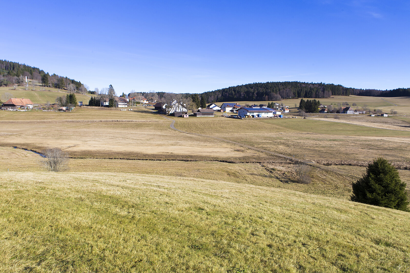 Aussicht über herbstliche Wiesen auf Giersbach am Berg Gugel