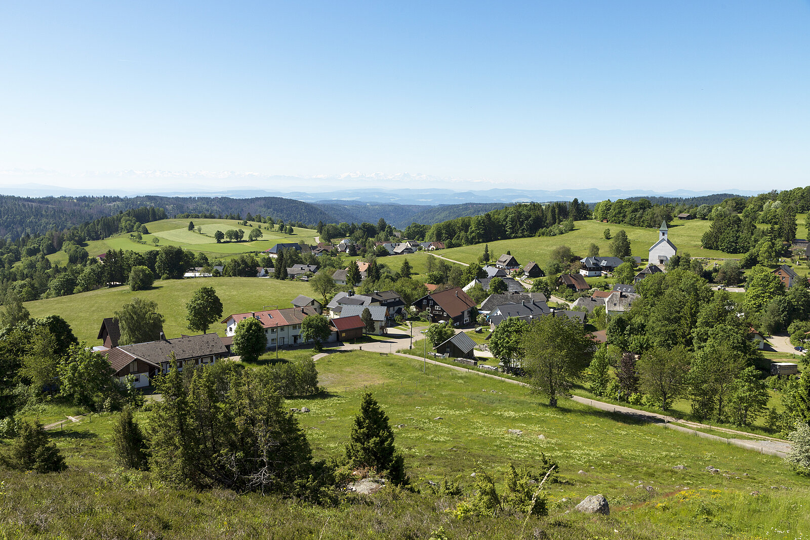 Fernsicht mit Alpenpanorama bei Dachsberg-Urberg im Hotzenwald