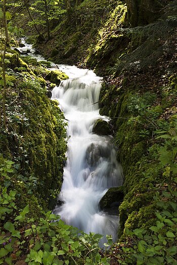 Kaskaden im Engenbach