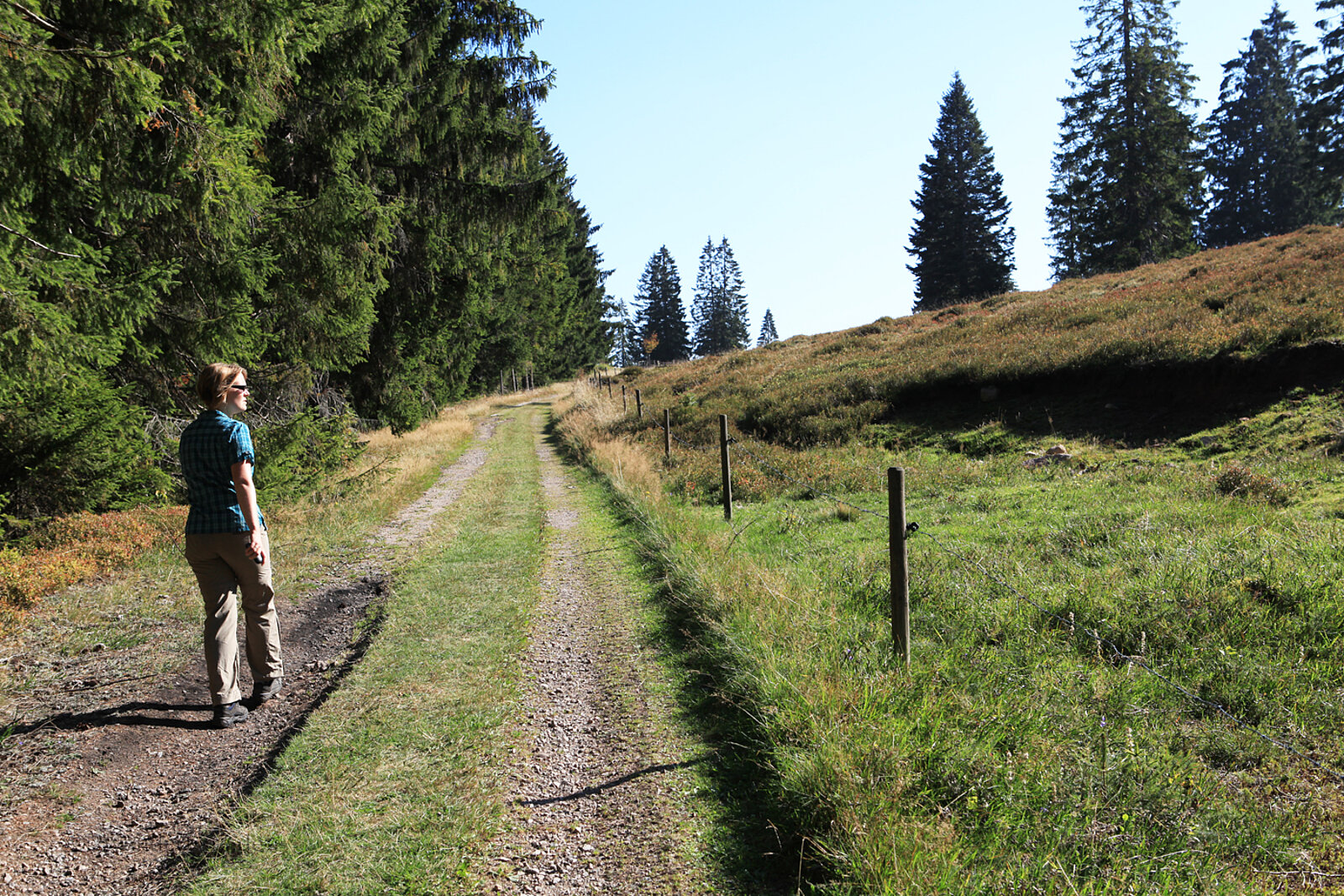 Wanderweg bei Häusern zur Wittemle-Hütte