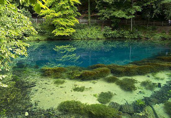 Blick auf den Blautopf