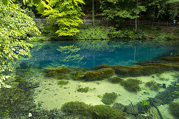 Blick auf den Blautopf