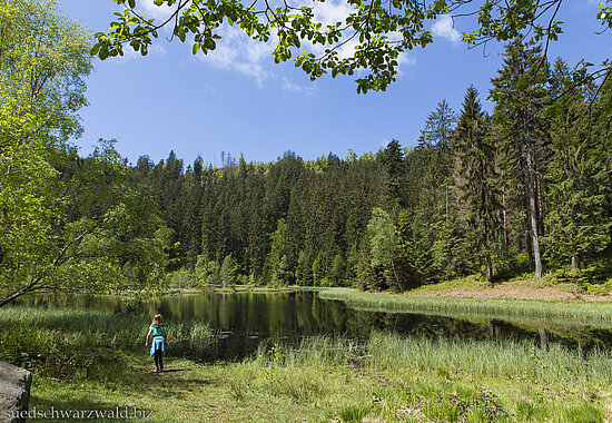 Idylle am Buhlbachsee bei Baiersbronn im Nationalpark Schwarzwald