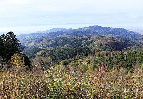 Aussicht vom Mooskopf über die Hügel jenseits der Kinzig