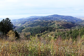 Aussicht vom Mooskopf über die Hügel jenseits der Kinzig