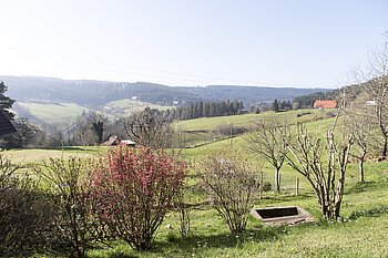 Landschaftsidylle auf der Südseite des Mittelbergs von Tennenbronn
