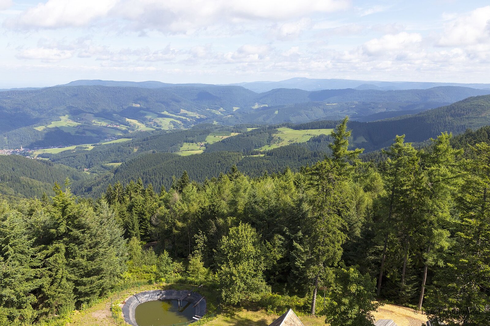 Aussicht vom Brandenkopfturm über die Wälder und Hügel rund um das Harmersbachtal