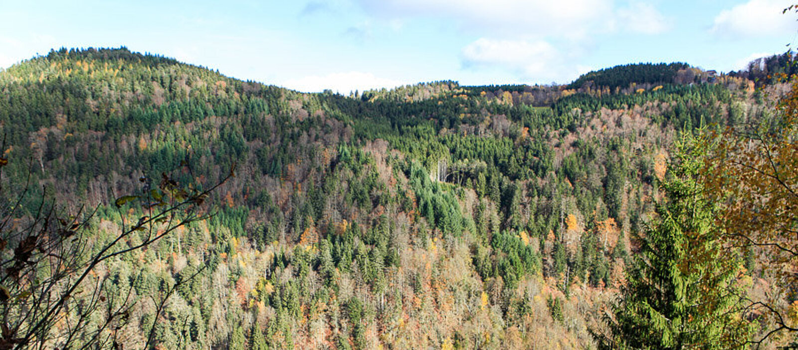 Aussicht vom Höchenschwander Felsenweg über das tief eingeschnittene Tal der Schwarza
