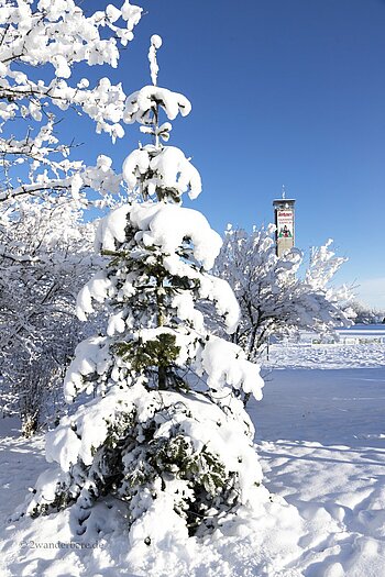 Sicht auf den Rothaus-Zäpfle-Turm