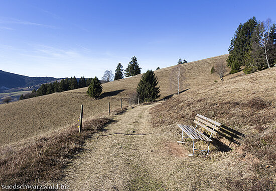 Wanderweg zwischen Holzer Kreuz und Schneckenkopf im oberen Wiesental