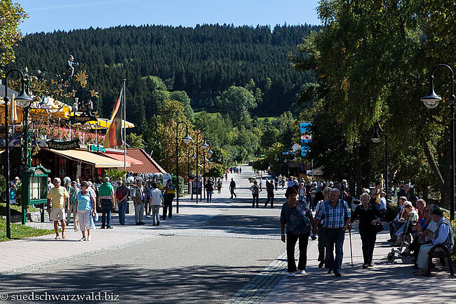 Promenada am Titisee