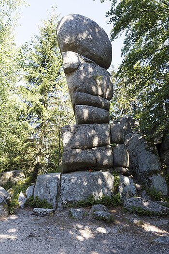 Naturdenkmal Siebenfelsen am Rohrhardsberg