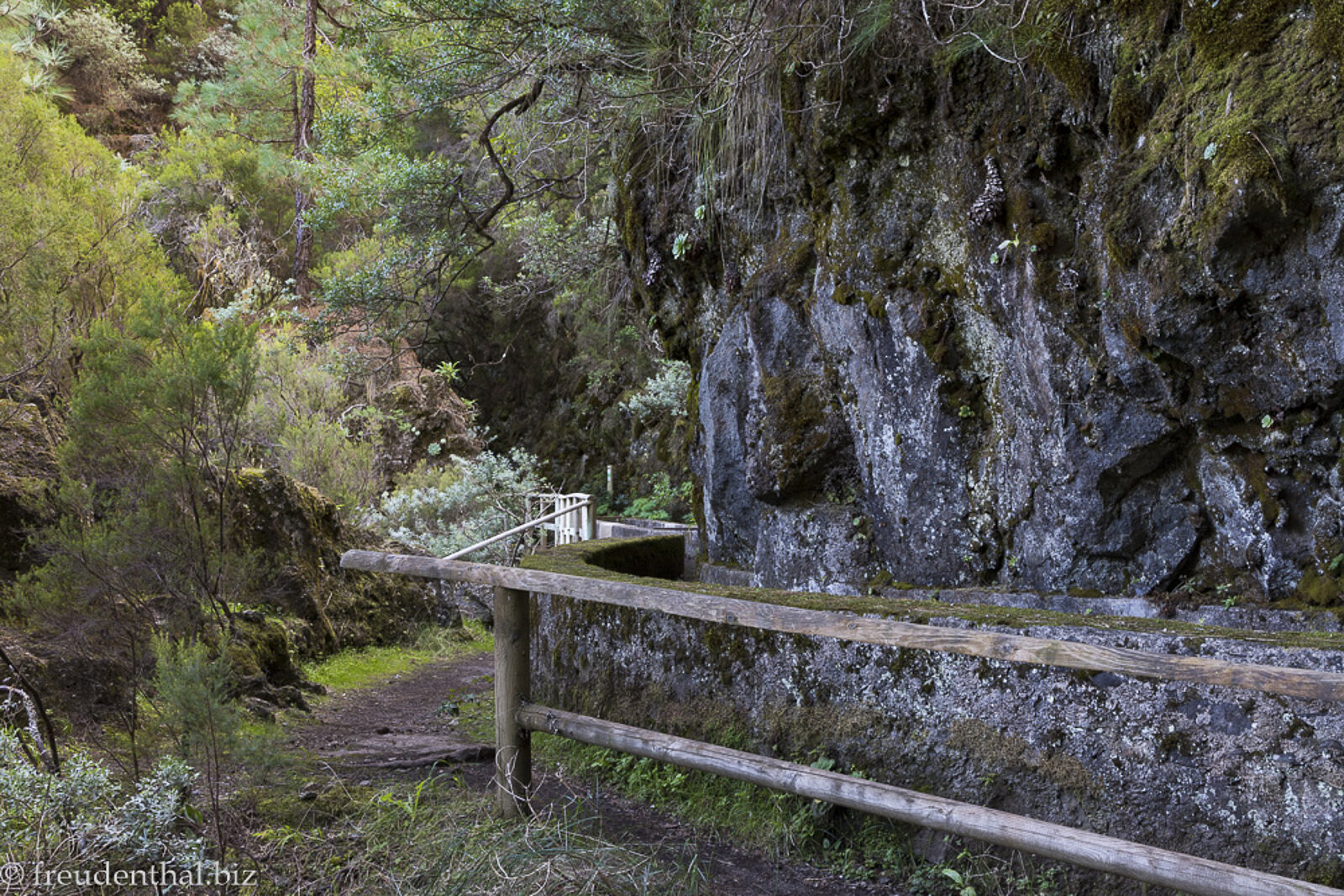 Wanderweg entlang der Levada nach Los Tilos auf der Kanareninsel La Palma