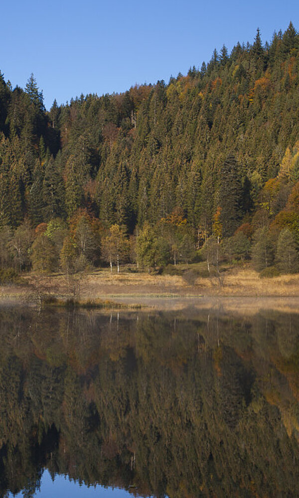 Wanderung Sankenbachsteig