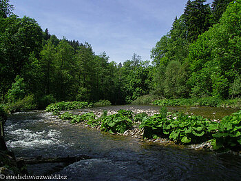 Wutachschlucht