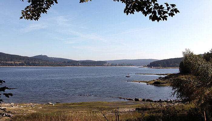 Aussicht über den Schluchsee