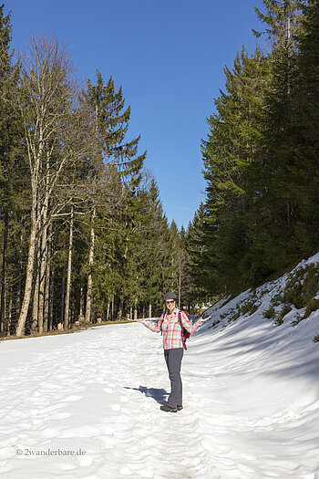 Schneereste beim Hinterwaldkopfsattel