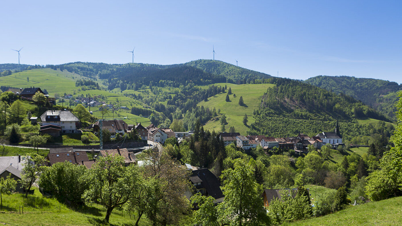 Aussicht über Häg im Wiesental