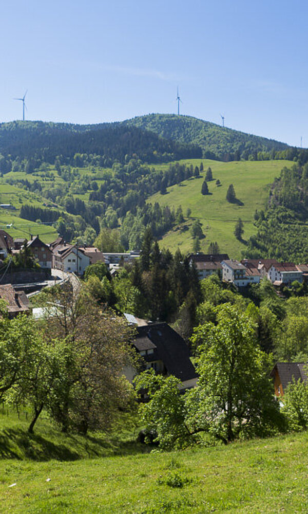 Aussicht über Häg zum Rohrenkopf
