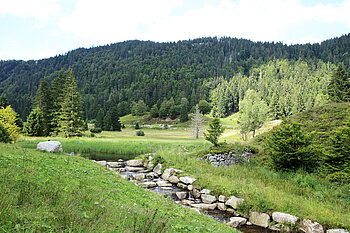 Menzenschwander Kluse