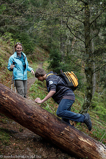 Hindernis auf dem Naturlehrpfad