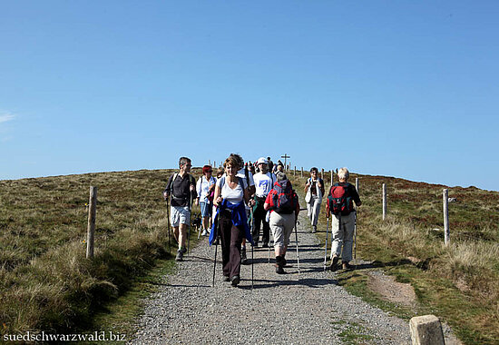 Wanderung auf dem Gipfelrundweg des Belchen