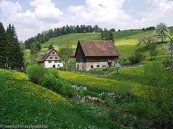 Guggenmühle oberhalb der Gauchachschlucht