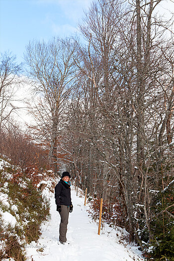 Wanderung auf dem Todtmooser Lebküchlerweg