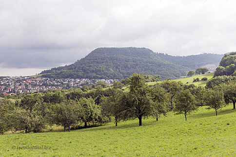 Aussicht von Öschingen auf Bolberg und Filsenberg