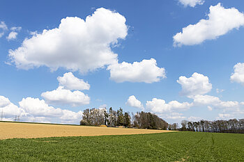 Hochfläche bei Aichen im Südschwarzwald