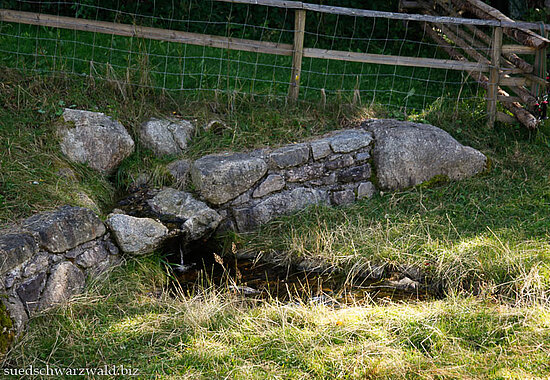Quelle der Murg am Murgtalpfad im Hotzenwald