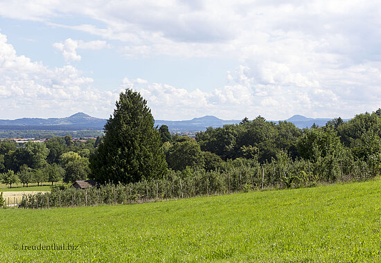 Aussicht zu den Drei-Kaiserbergen