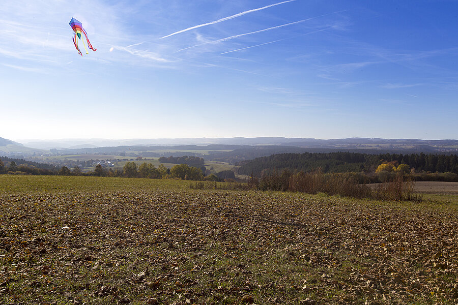 Drachen über dem Gupfen